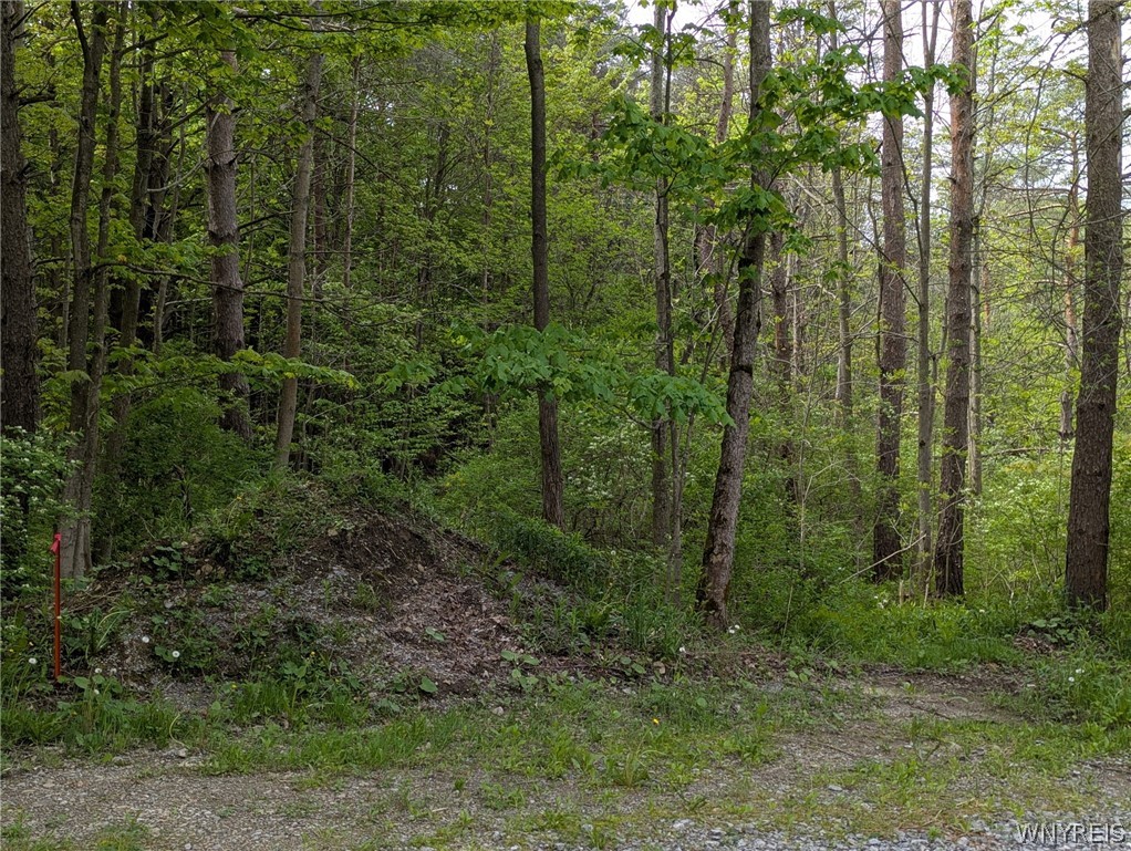 34 Treehaven Road Wethersfield, NY 14066 - Photo 5 of 7
