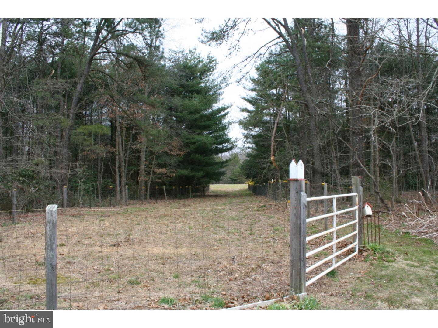 468 Alvine Road Elmer, NJ 08318 - Photo 7 of 25 a backyard of a house with lots of green space