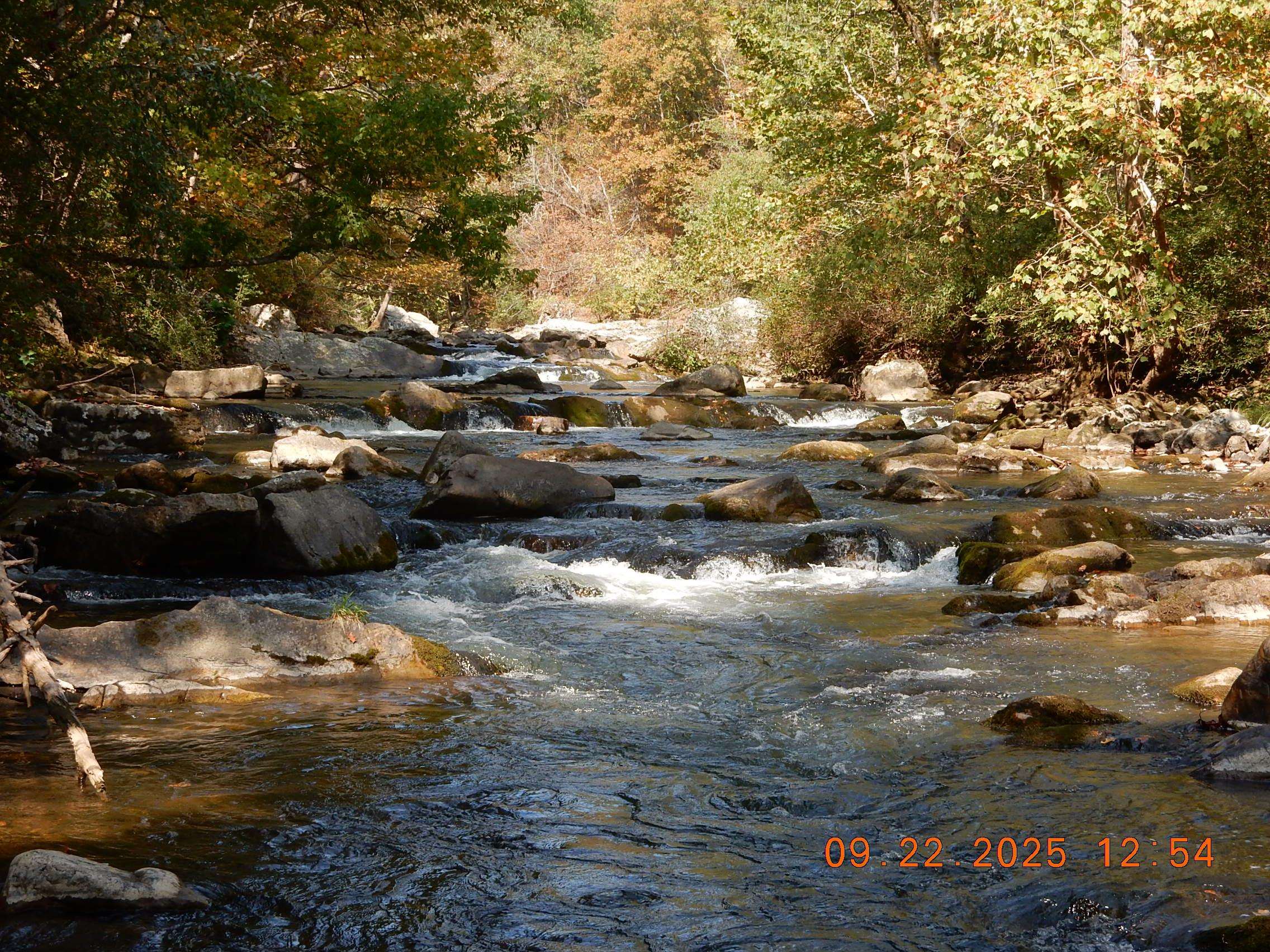 13334 Tower Hill Road Williamsville, VA 24487 - Photo 8 of 9 a view of water and mountain