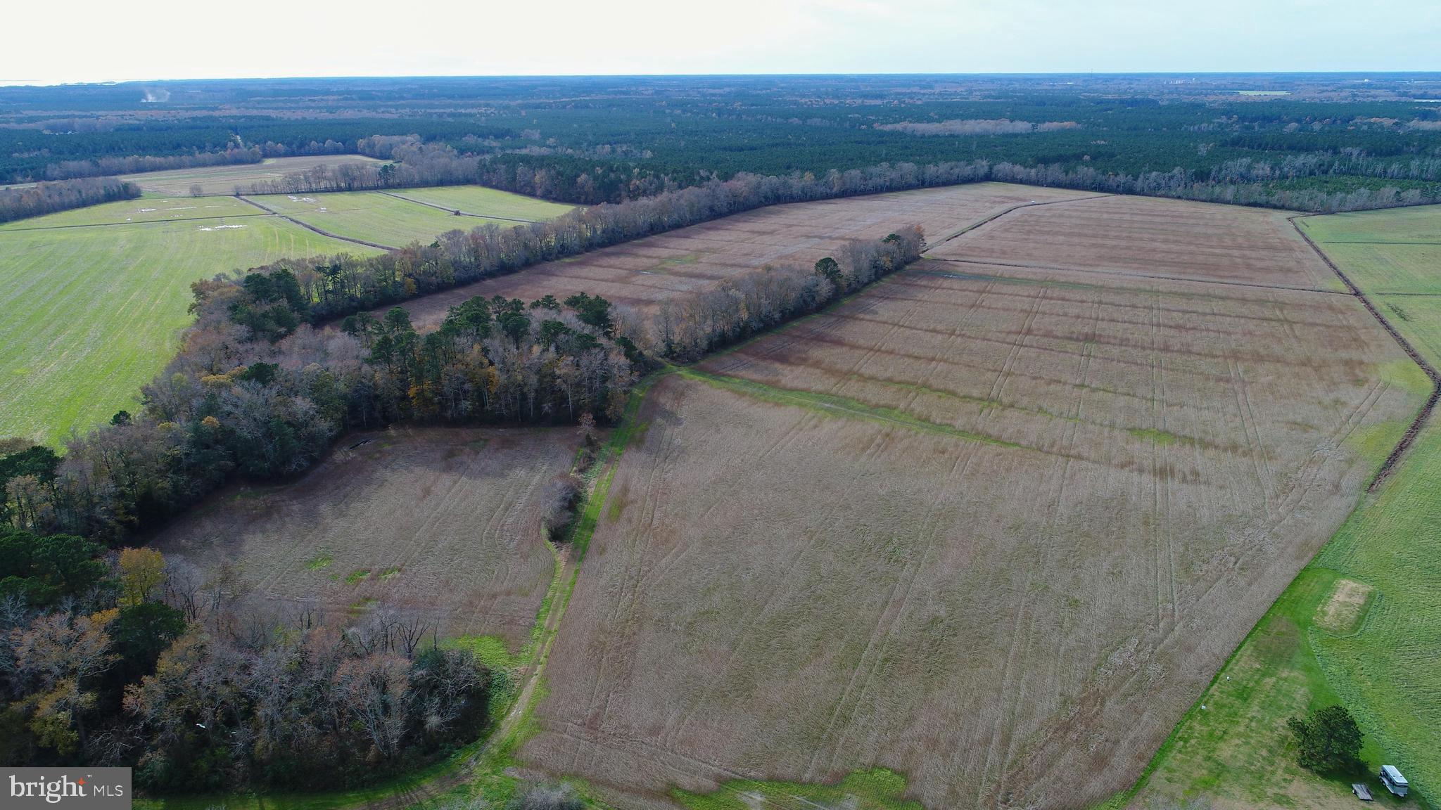 7740 Cedartown Road Snow Hill, MD 21863 - Photo 5 of 6 Gallery Image 5