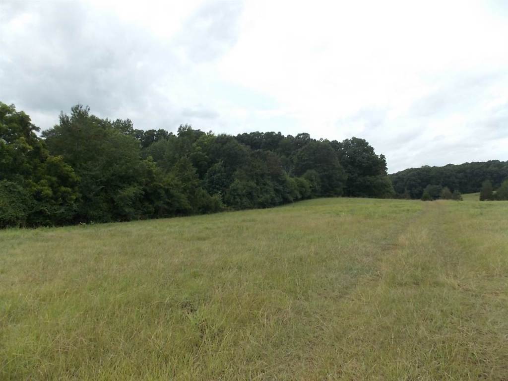0 Lamar Mitchell Road Belton, SC 29627 - Photo 3 of 10 Gallery Image 3