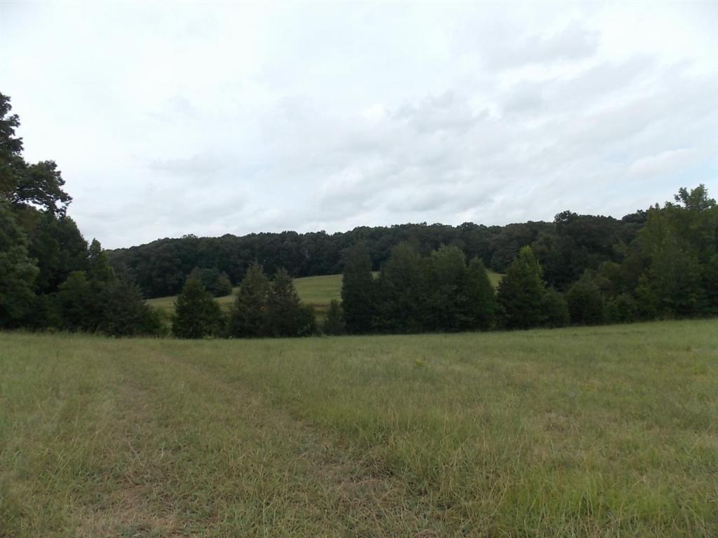 0 Lamar Mitchell Road Belton, SC 29627 - Photo 4 of 10 Gallery Image 4
