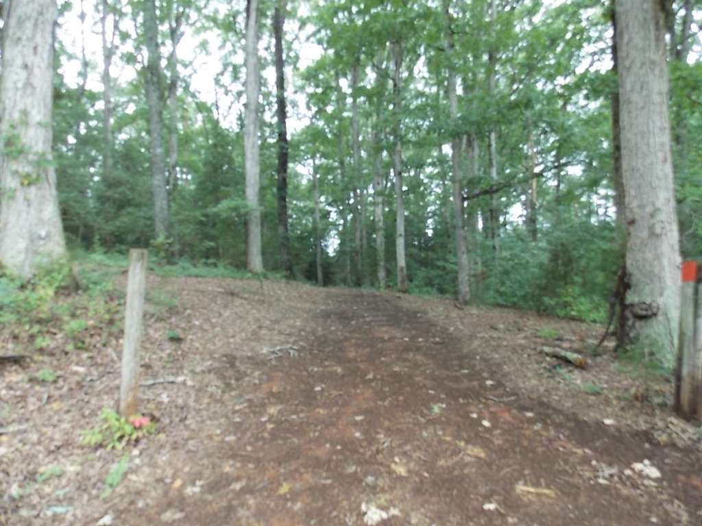 0 Lamar Mitchell Road Belton, SC 29627 - Photo 8 of 10 Gallery Image 8
