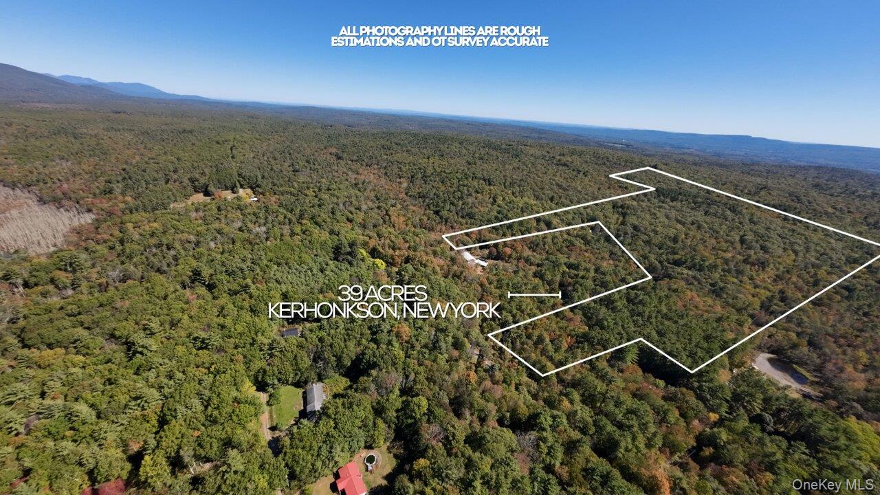 0 Pine Grove Road Kerhonkson, NY 12446 - Photo 8 of 8