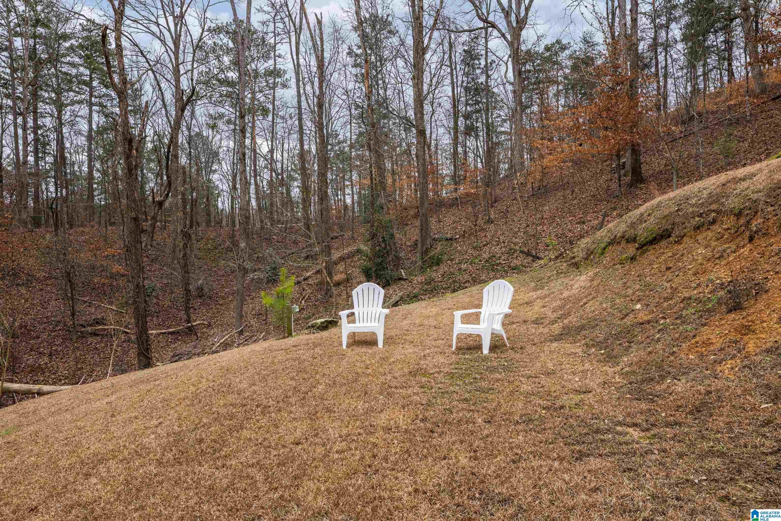 109 Sunset Strip Oneonta, AL 35121 - Photo 45 of 68