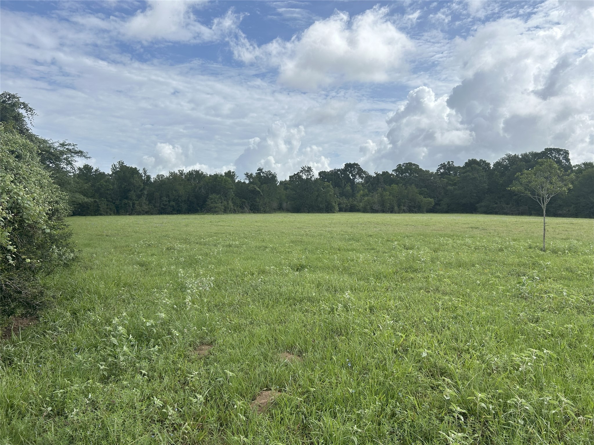 Tbd Holik Road Hempstead, TX 77445 - Photo 29 of 50