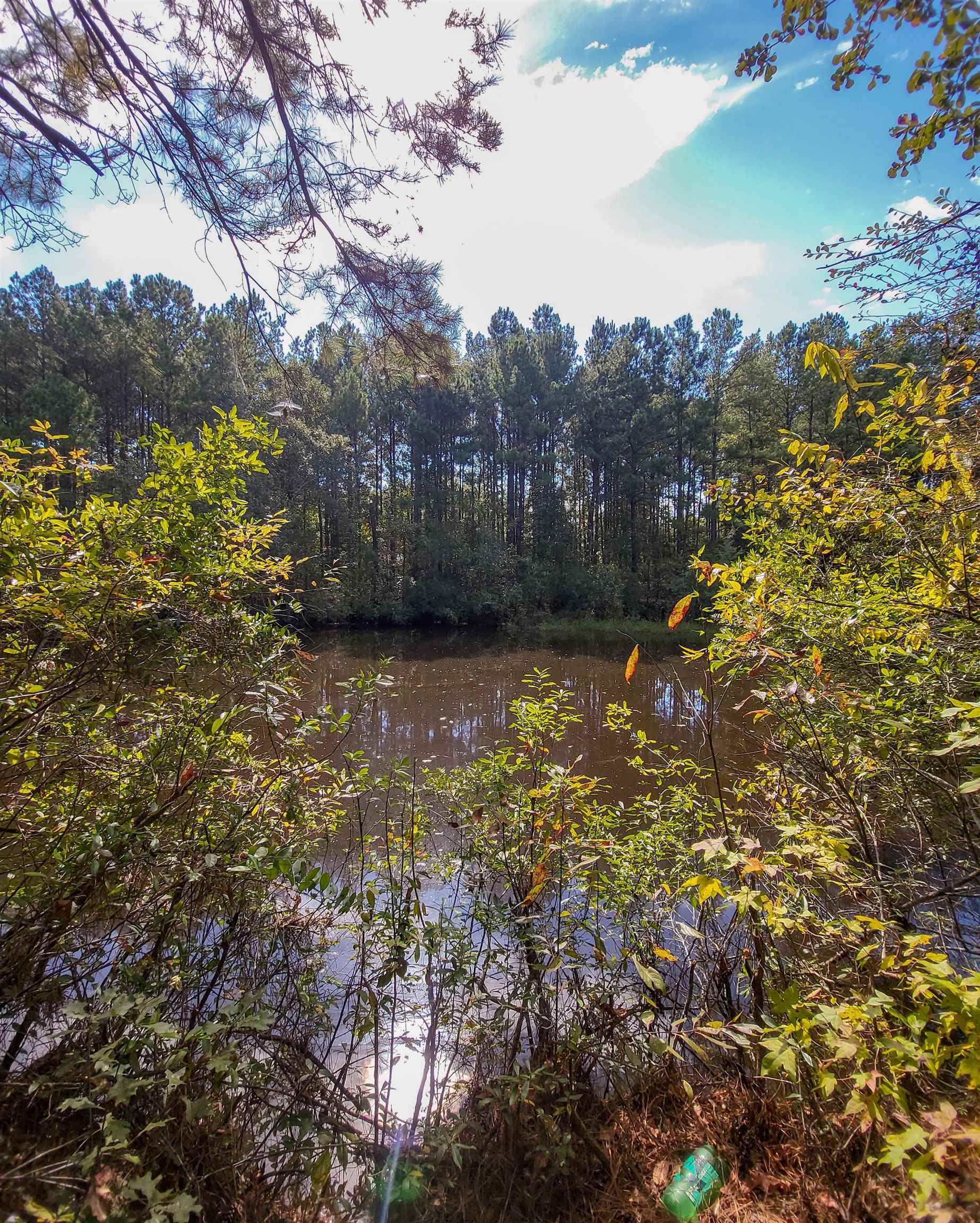 Empire Church Road Lakeland, GA 31635 - Photo 19 of 36 Gallery Image 19