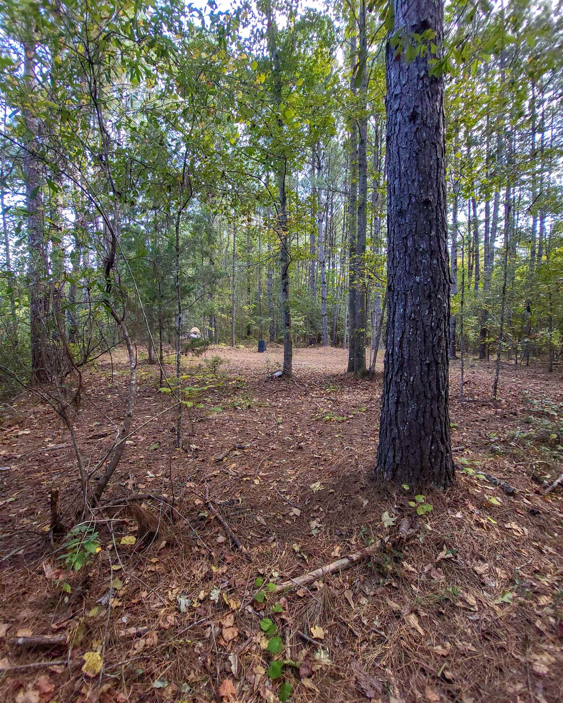 Empire Church Road Lakeland, GA 31635 - Photo 21 of 36 Gallery Image 21