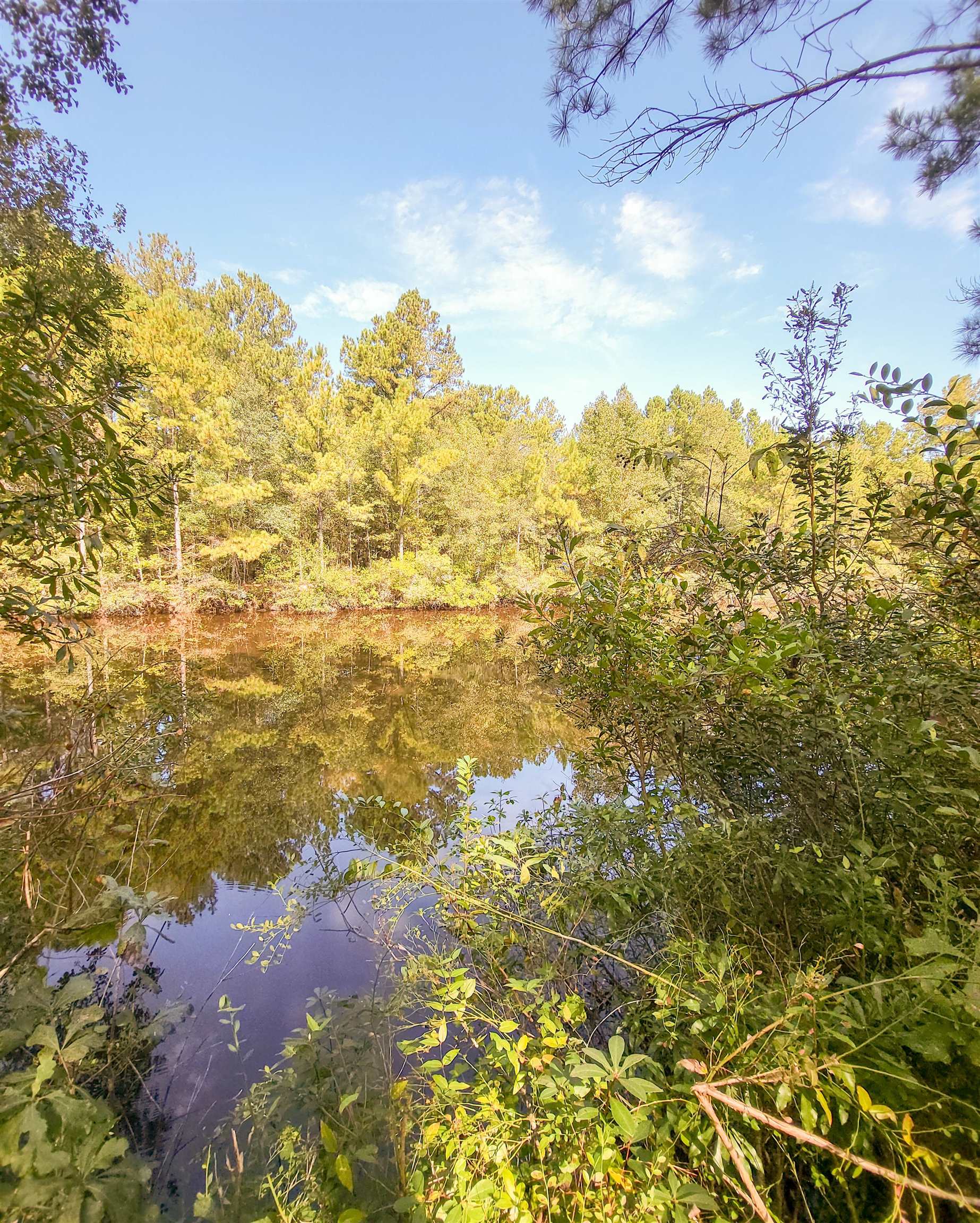 Empire Church Road Lakeland, GA 31635 - Photo 25 of 36 Gallery Image 25