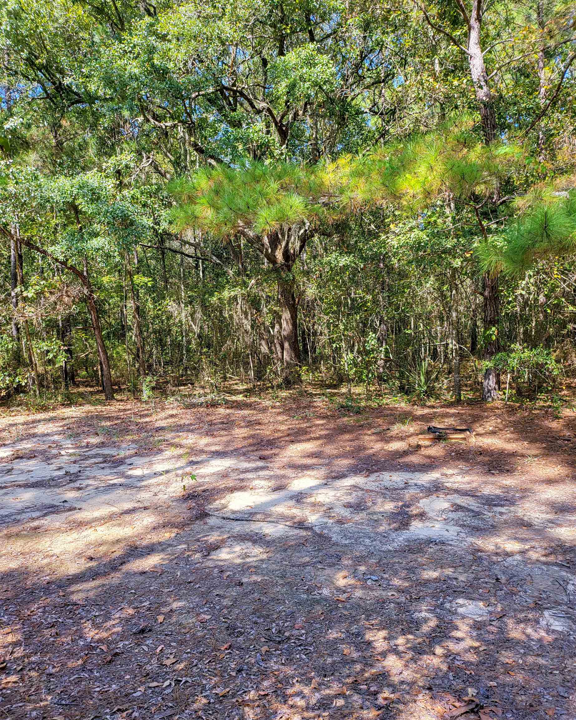 Empire Church Road Lakeland, GA 31635 - Photo 10 of 36 Gallery Image 10