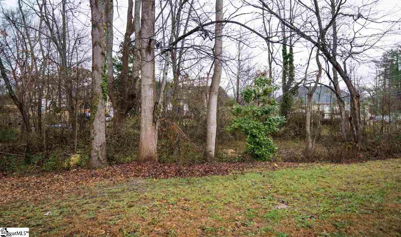 113 Duncan Road Greenville, SC 29617 - Photo 22 of 23