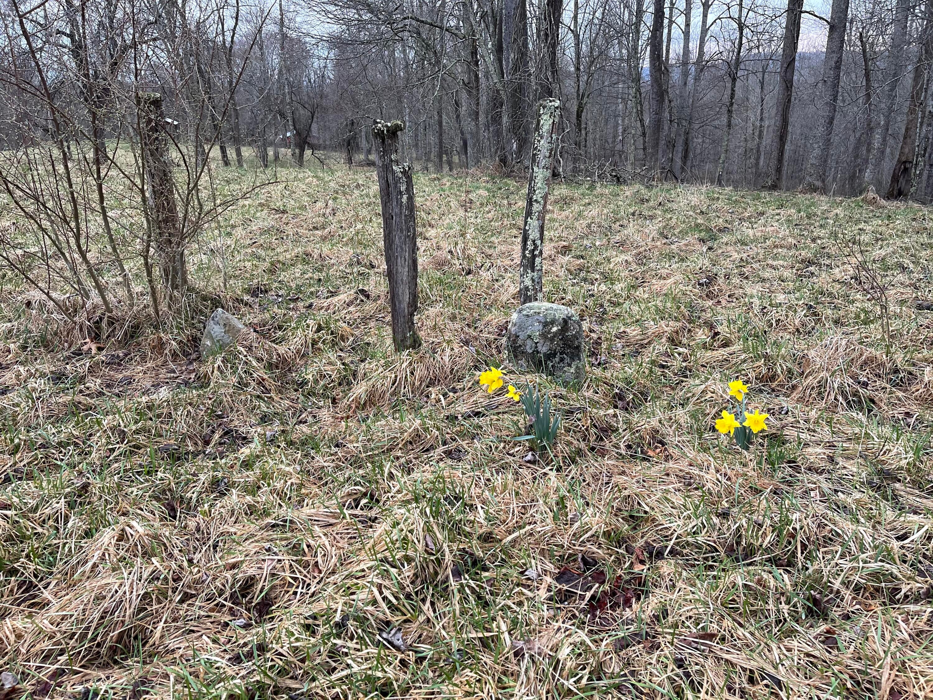 580-680 Fox Trail Road Crawley, WV 24931 - Photo 61 of 69 Gallery Image 61