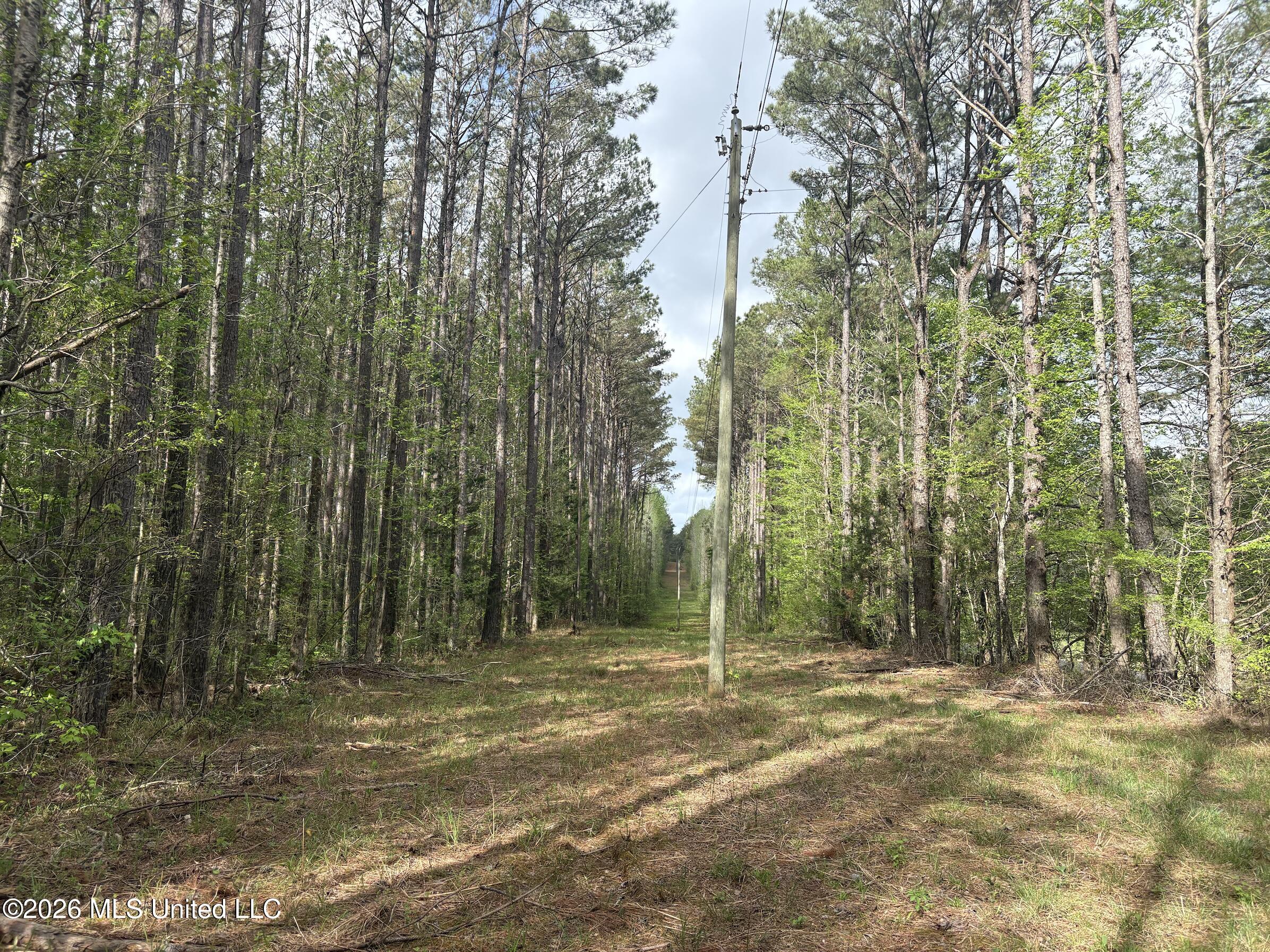 Hester Road Mathiston, MS 39752 - Photo 8 of 10 Screen Shot 2026-04-01 at 6.13.00 PM