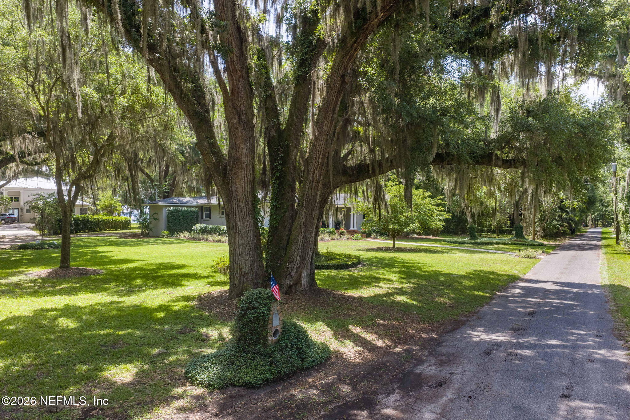 3079 Anderson Road Green Cove Springs, FL 32043 - Photo 65 of 78 Tree Shot 1