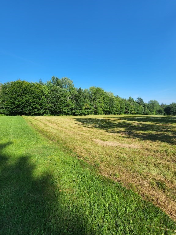 0 Ingell Road Chester, MA 01011 - Photo 6 of 12 a view of a green yard next to a lake