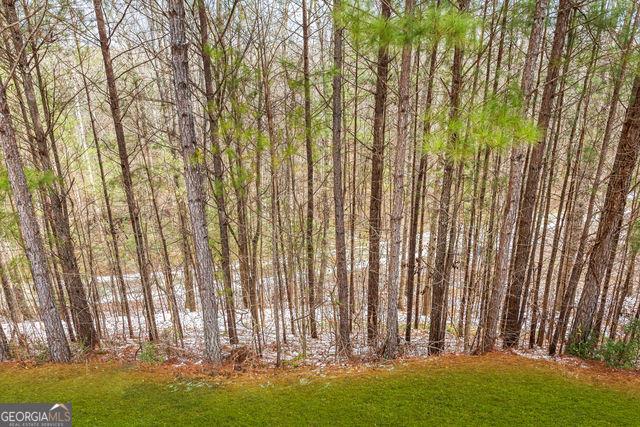 23 Carrington Way Newnan, GA 30265 - Photo 35 of 40