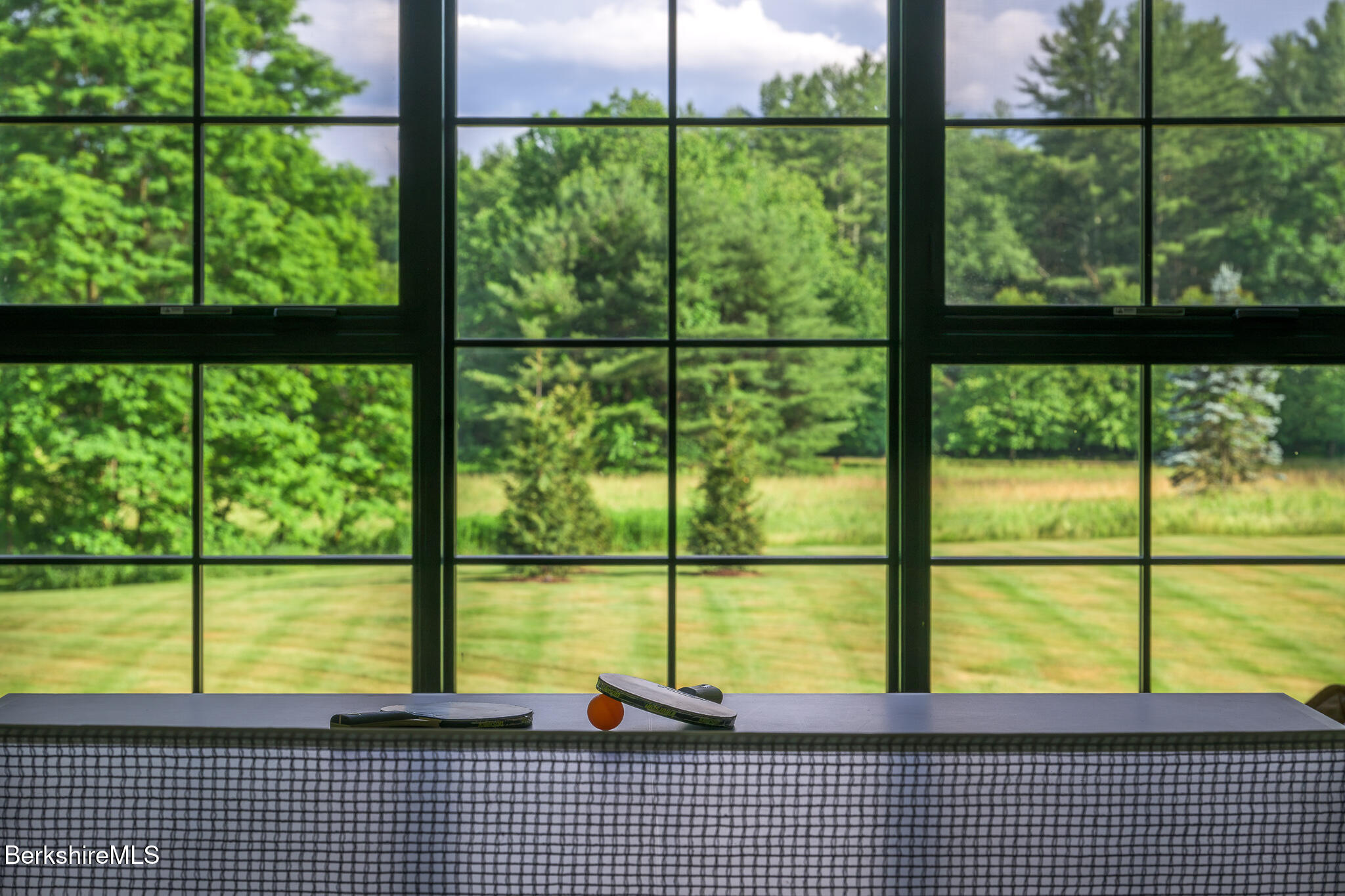 74 Seekonk Cross Road Great Barrington, MA 01230 - Photo 46 of 48 74 View from studio