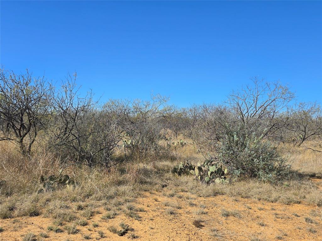 5780 County Road 266 Rochelle, TX 76872 - Photo 25 of 40 a view of a dry yard with trees in the background