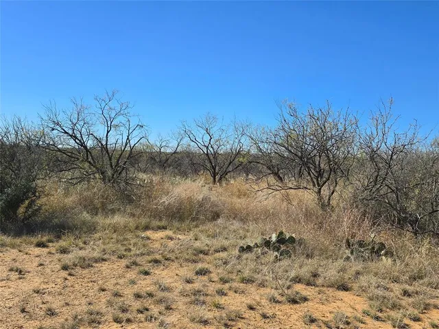a view of a dry yard with trees in the background