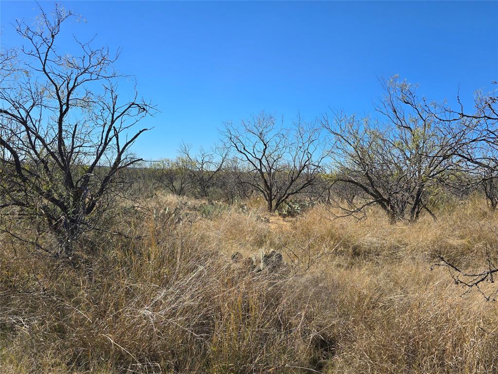 5780 County Road 266 Rochelle, TX 76872 - Photo 32 of 40 a view of a yard
