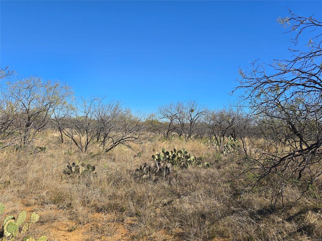 5780 County Road 266 Rochelle, TX 76872 - Photo 33 of 40 a view of a yard with a tree