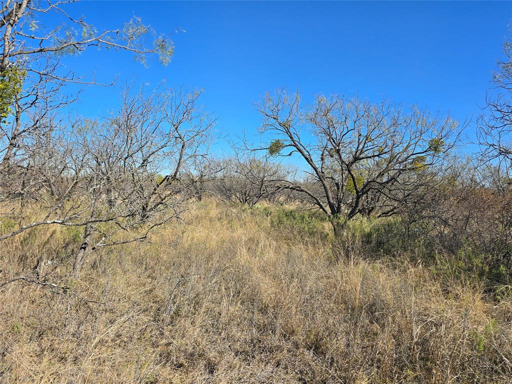 5780 County Road 266 Rochelle, TX 76872 - Photo 35 of 40 a view of a yard