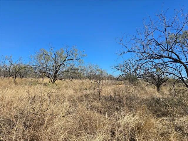 $398,750 | 5780 County Road 266, Rochelle, TX 76872