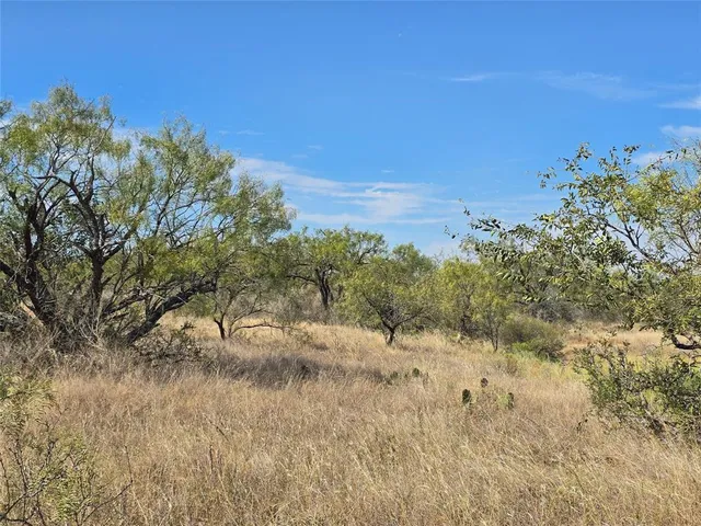 a view of a yard with a tree