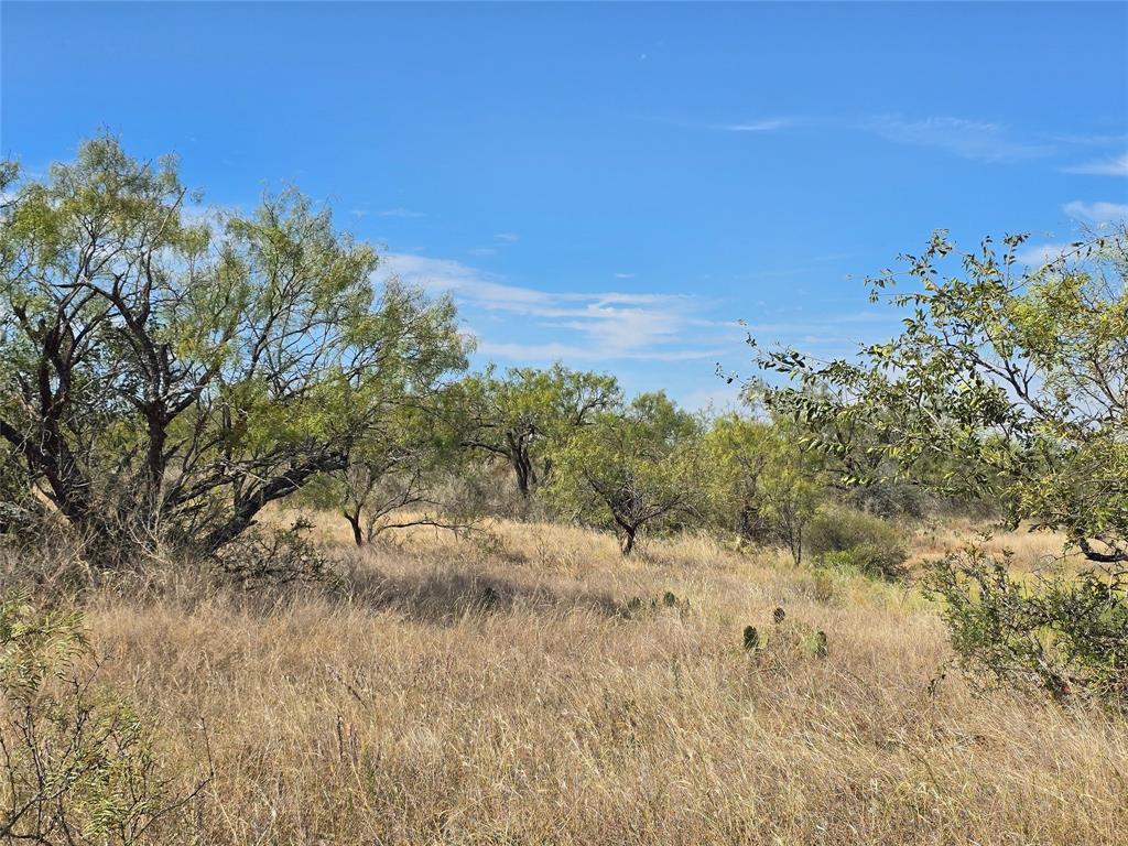 5780 County Road 266 Rochelle, TX 76872 - Photo 7 of 40 a view of a yard with a tree