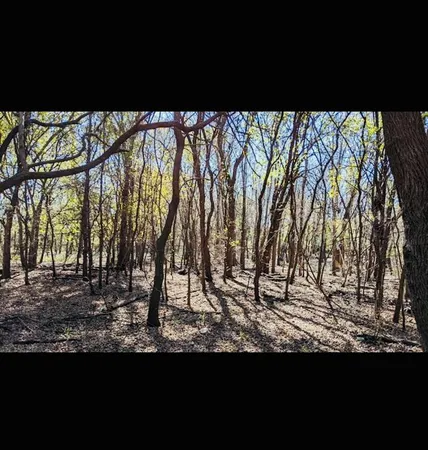 a view of swimming pool with a yard