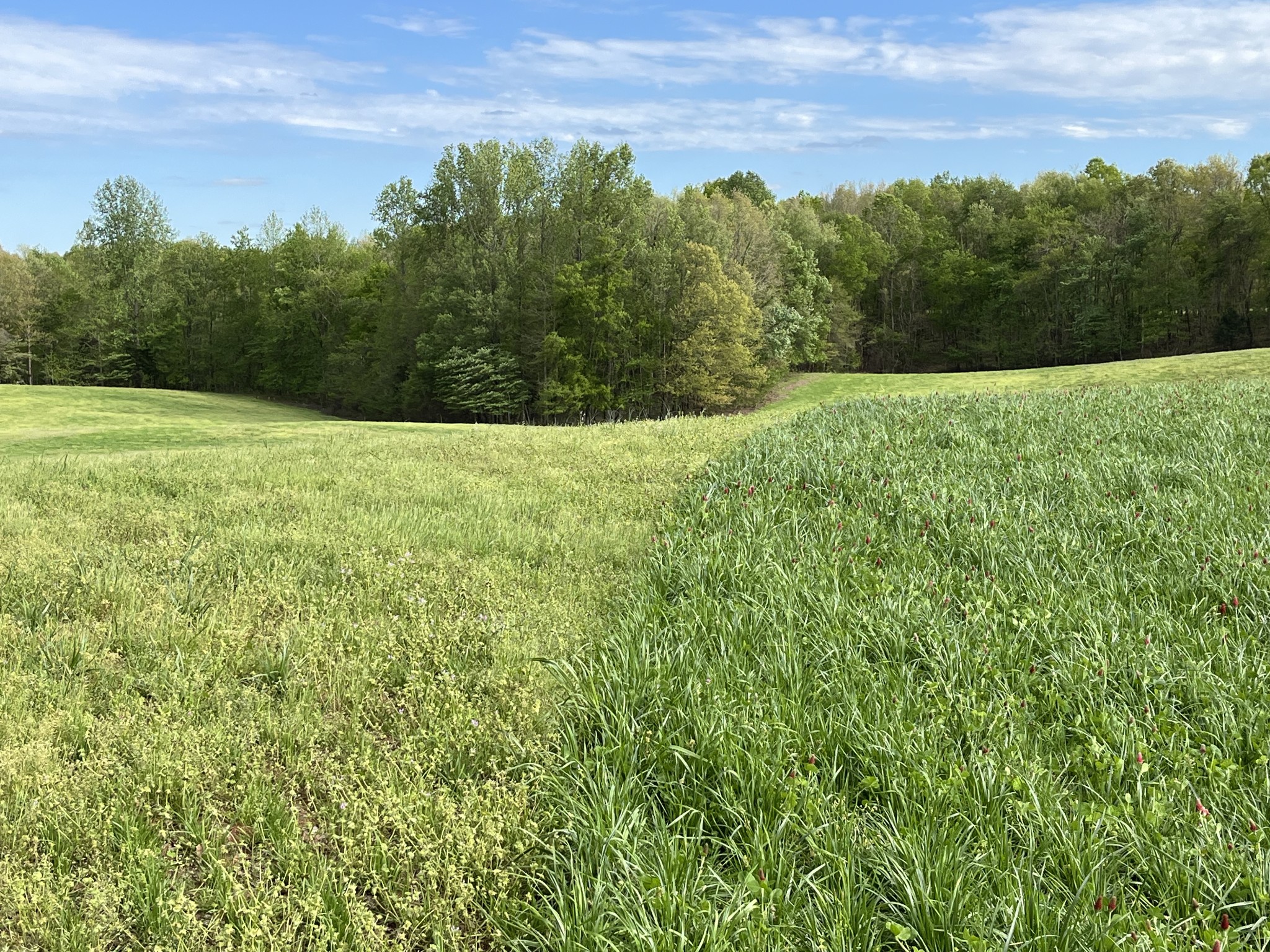 0 Johnson Road Lutts, TN 38471 - Photo 23 of 68 Gallery Image 23