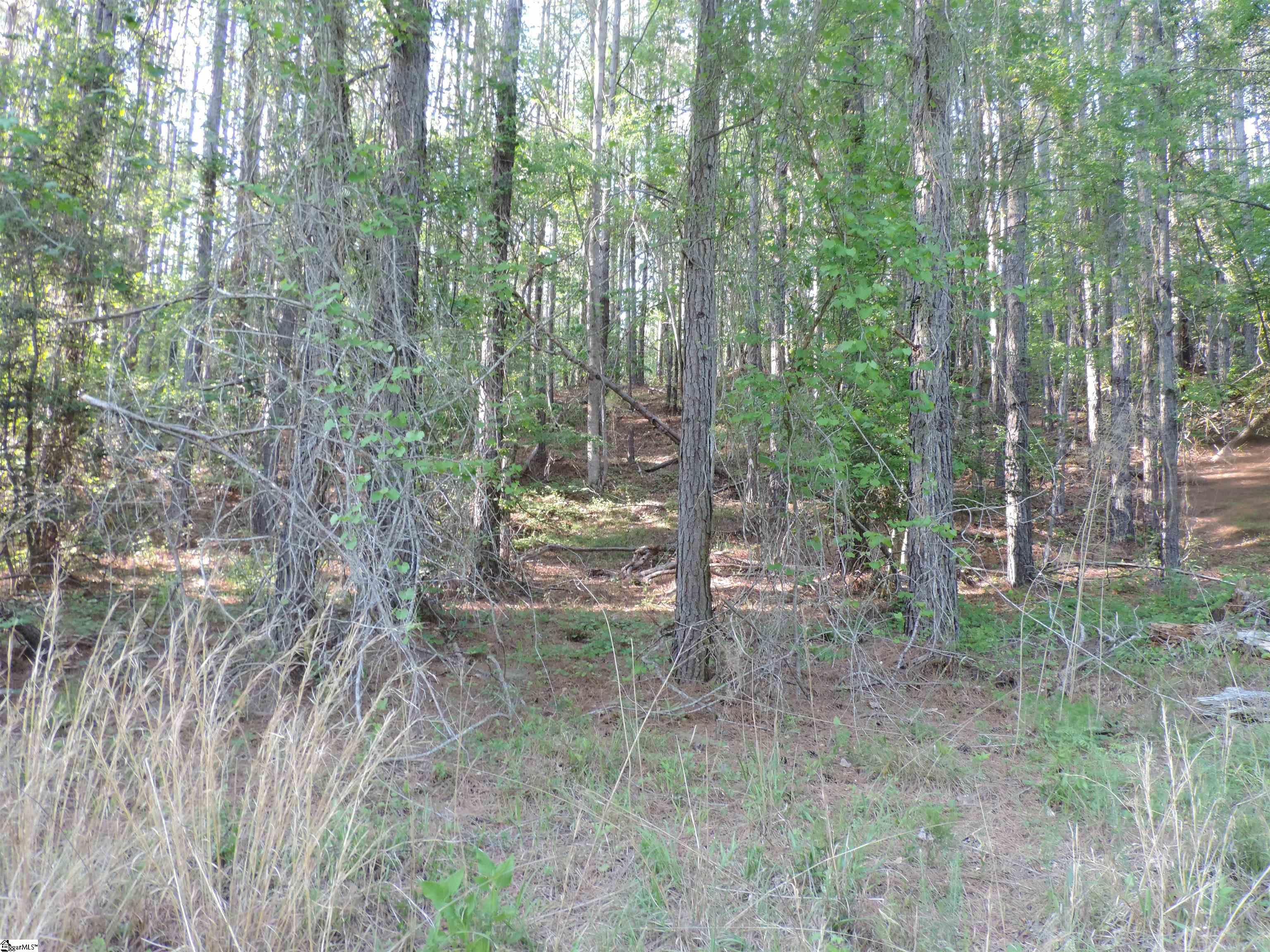 0 Hobbysville Road Roebuck, SC 29376 - Photo 13 of 41