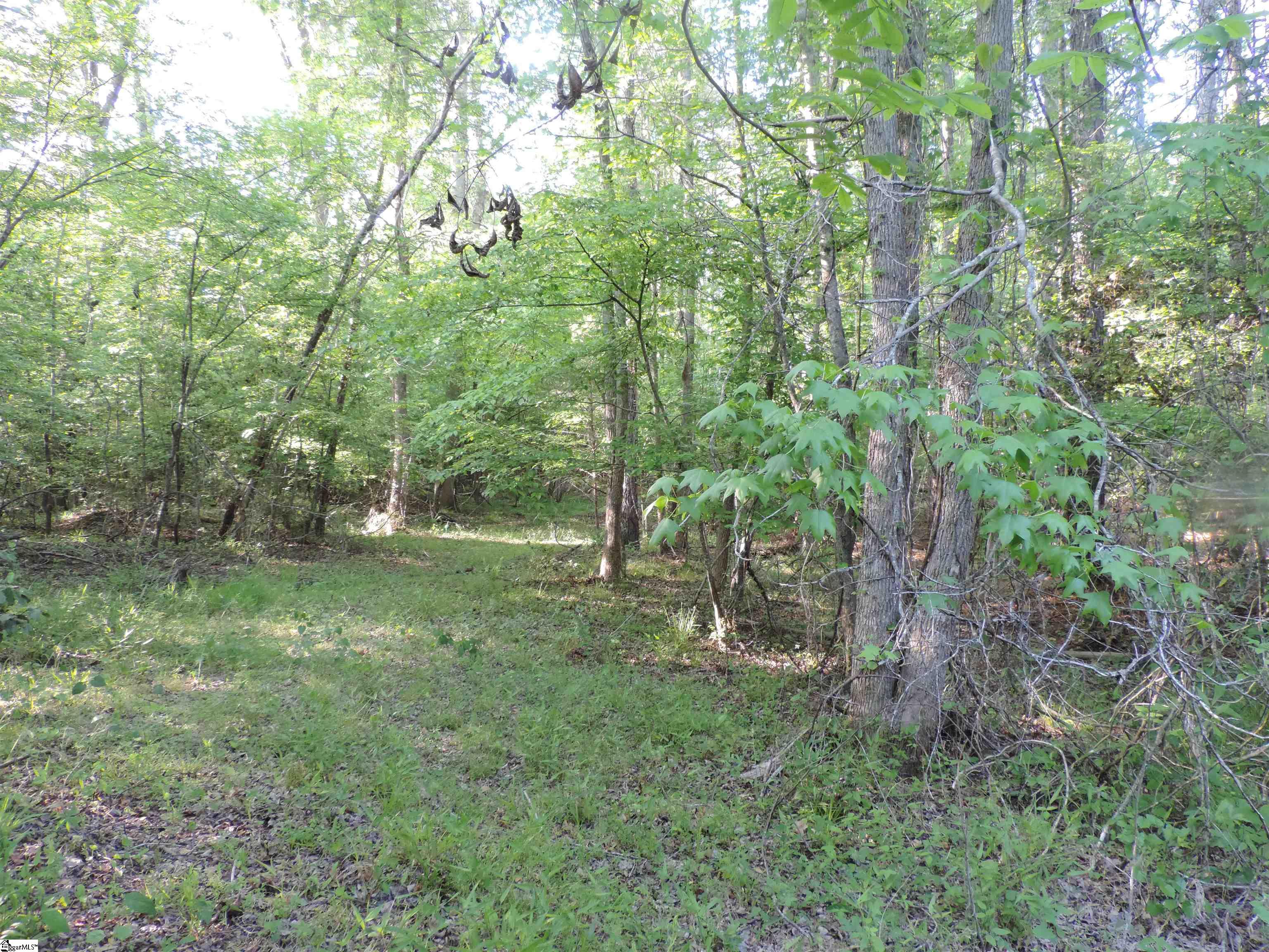 0 Hobbysville Road Roebuck, SC 29376 - Photo 15 of 41