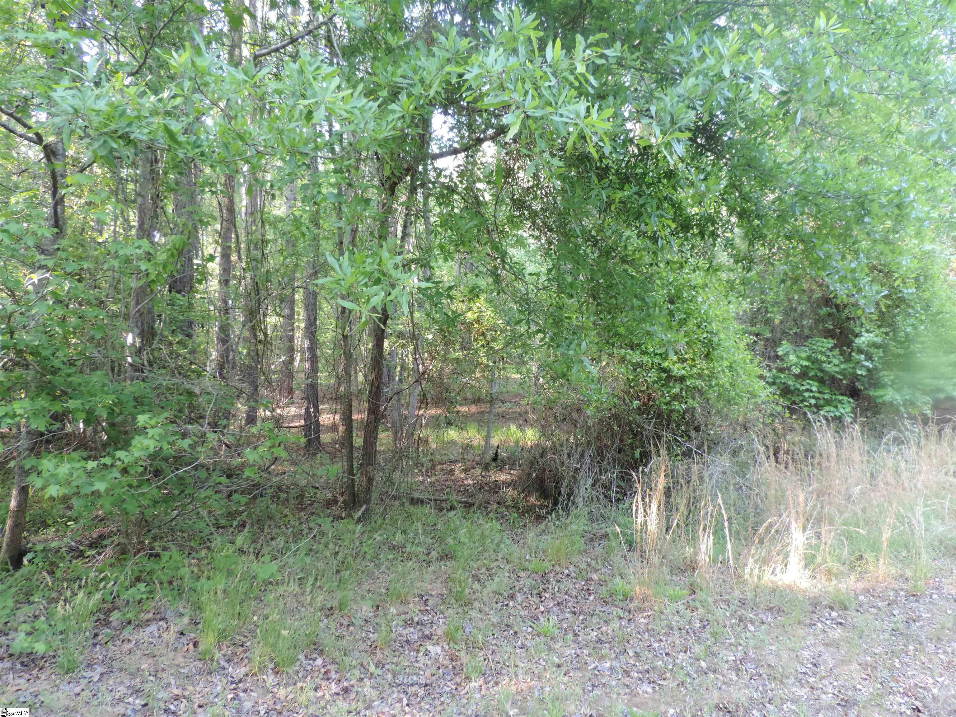 0 Hobbysville Road Roebuck, SC 29376 - Photo 16 of 41