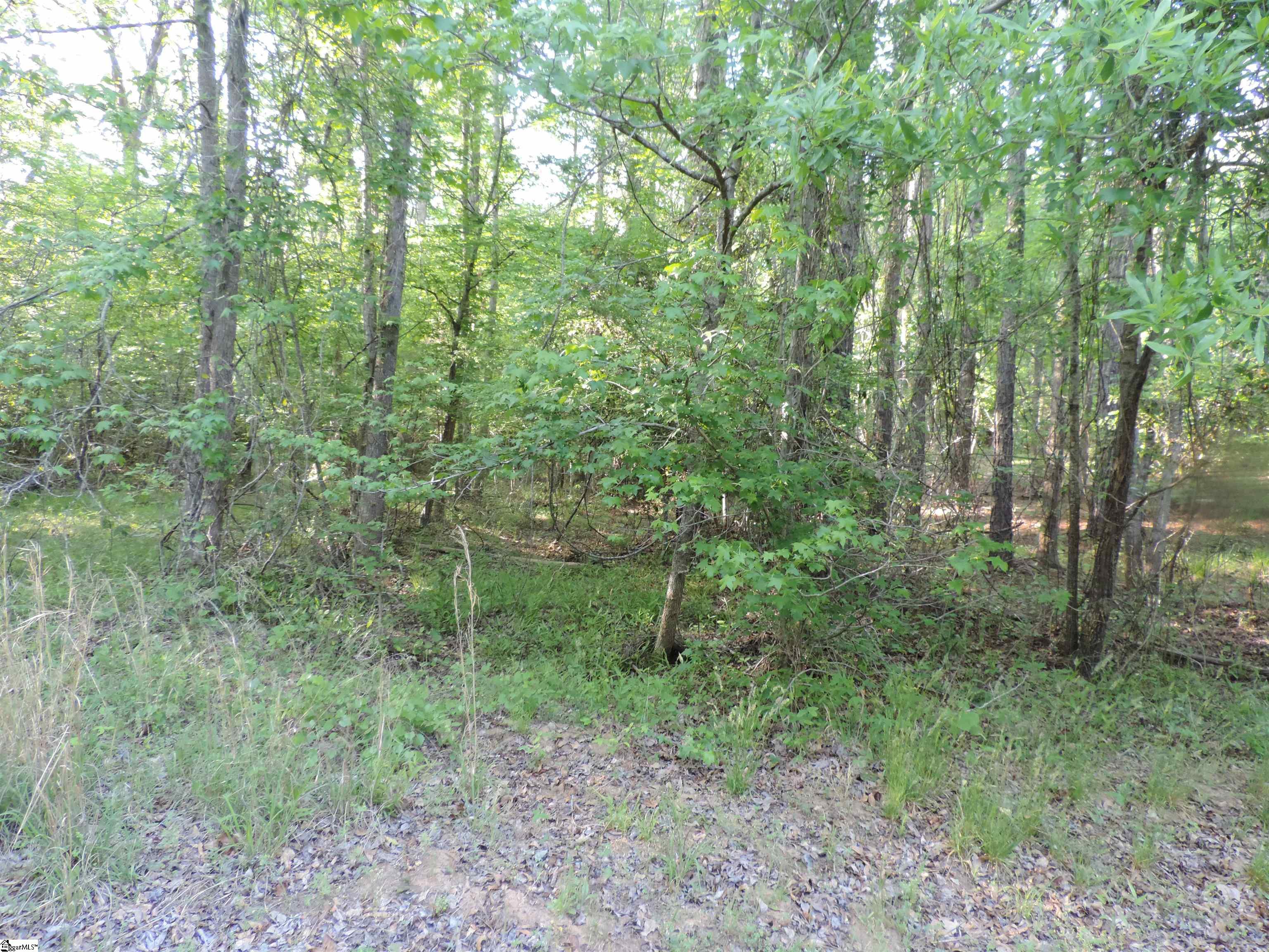 0 Hobbysville Road Roebuck, SC 29376 - Photo 17 of 41
