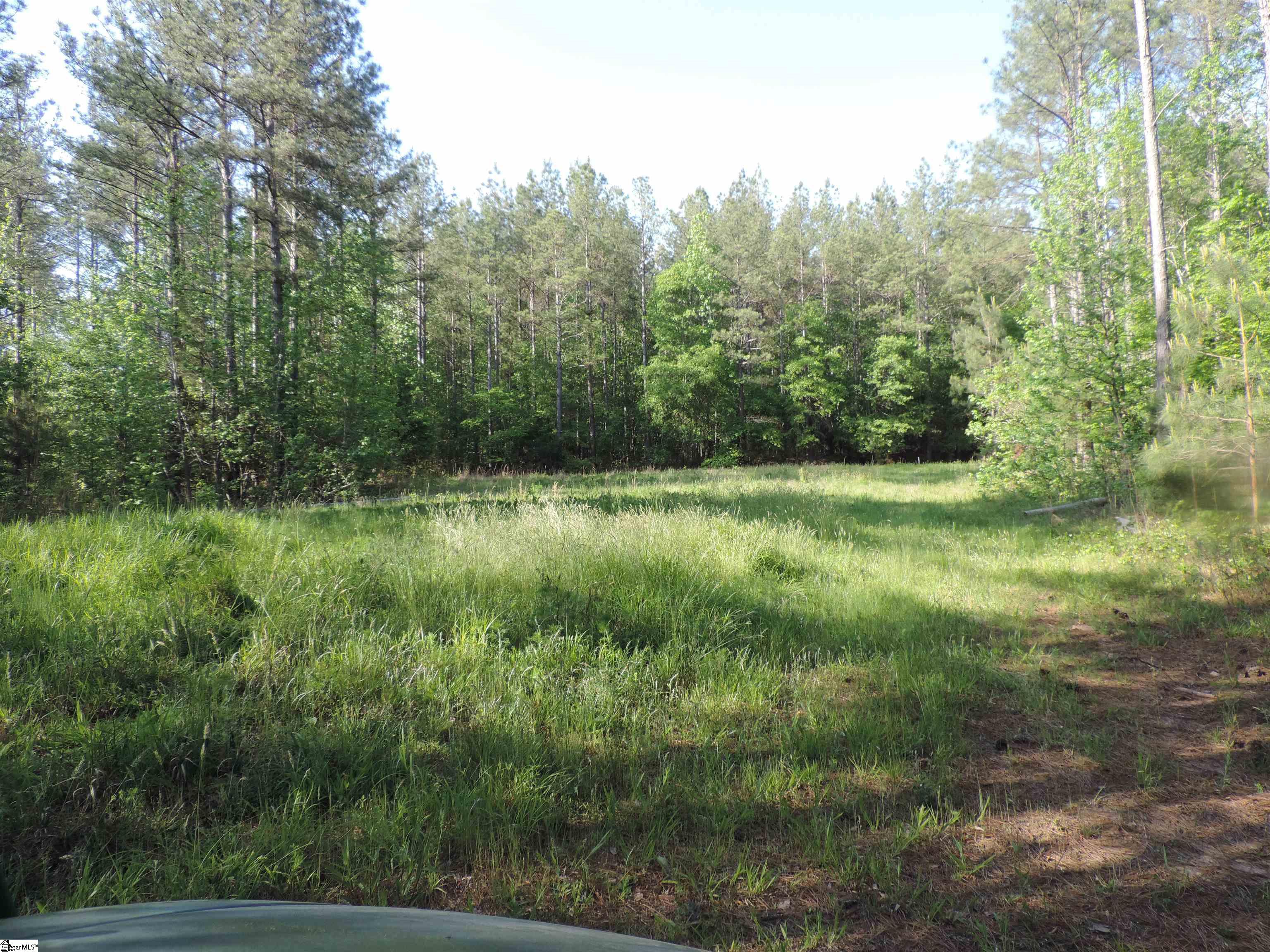 0 Hobbysville Road Roebuck, SC 29376 - Photo 21 of 41