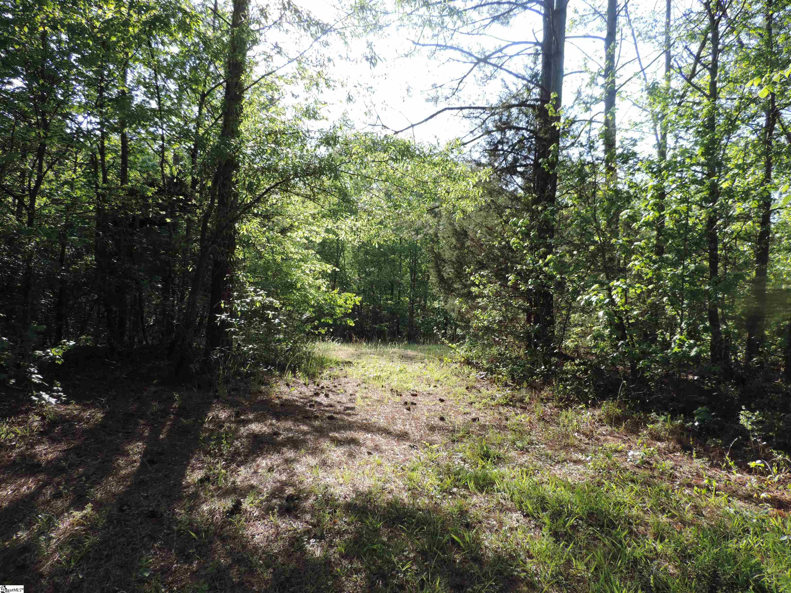 0 Hobbysville Road Roebuck, SC 29376 - Photo 22 of 41