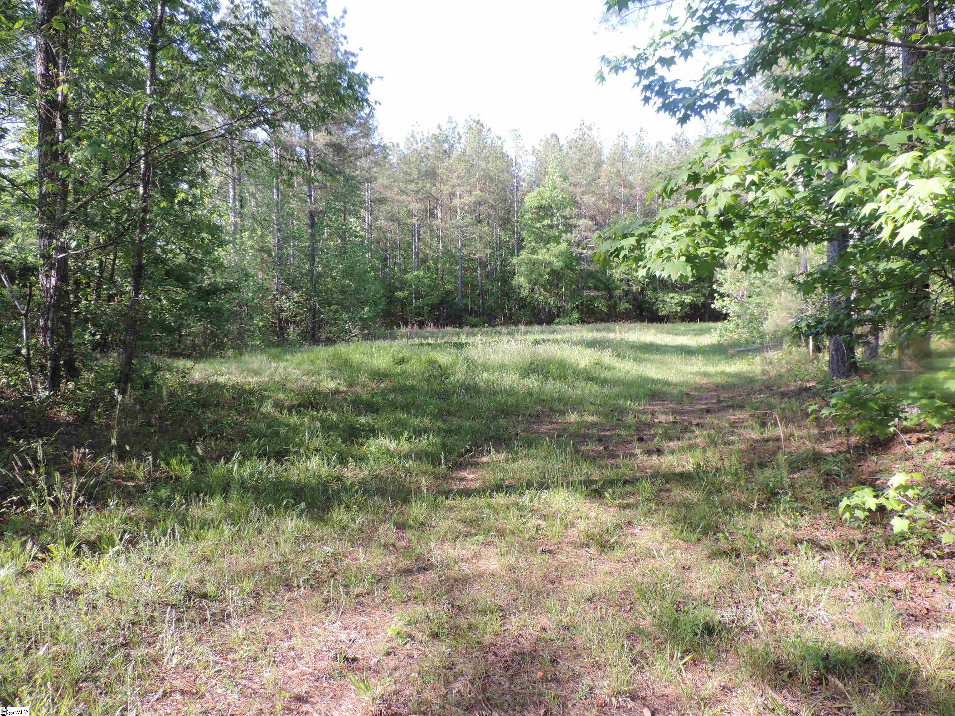 0 Hobbysville Road Roebuck, SC 29376 - Photo 23 of 41