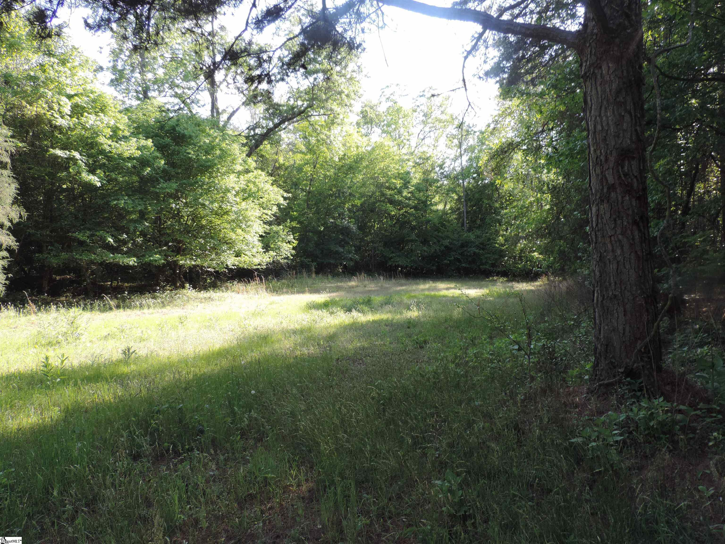 0 Hobbysville Road Roebuck, SC 29376 - Photo 26 of 41