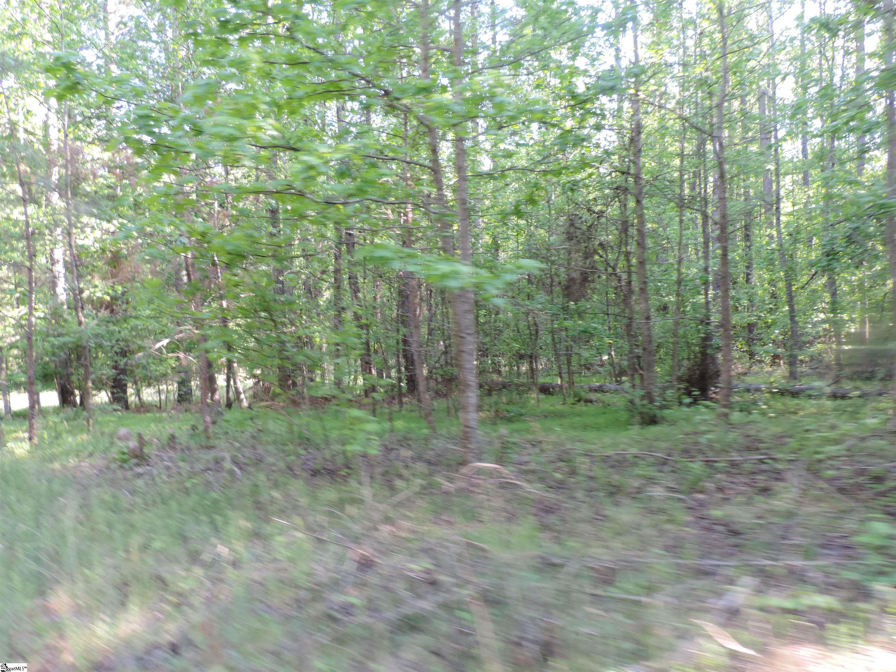 0 Hobbysville Road Roebuck, SC 29376 - Photo 28 of 41