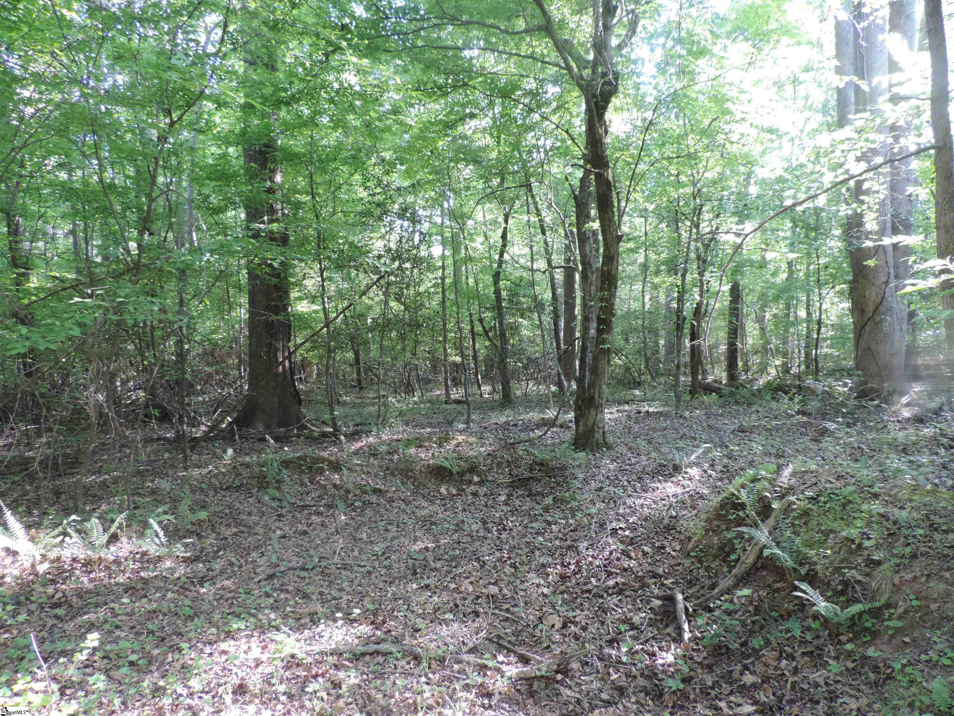 0 Hobbysville Road Roebuck, SC 29376 - Photo 30 of 41