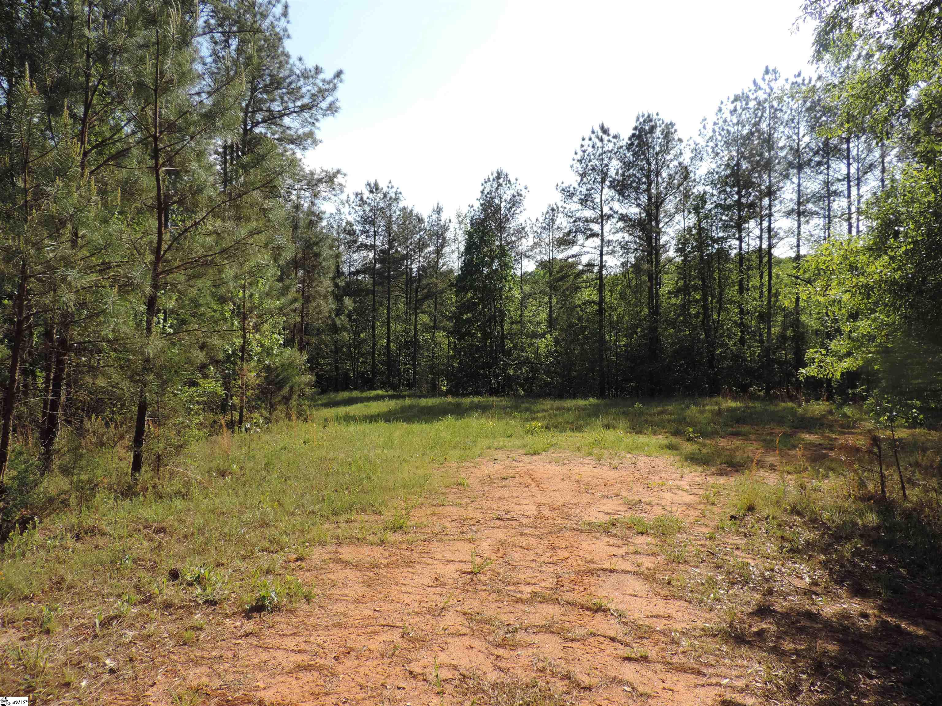 0 Hobbysville Road Roebuck, SC 29376 - Photo 35 of 41
