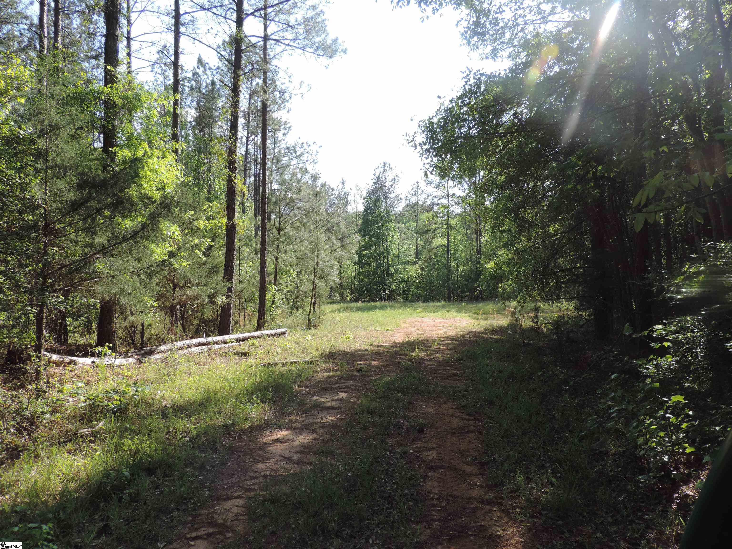 0 Hobbysville Road Roebuck, SC 29376 - Photo 36 of 41