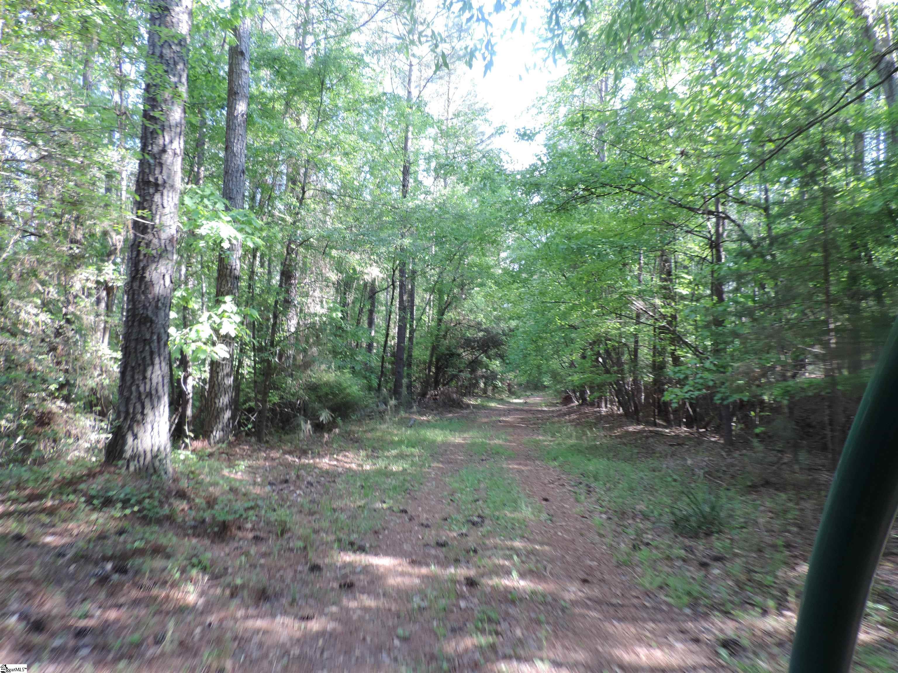 0 Hobbysville Road Roebuck, SC 29376 - Photo 40 of 41