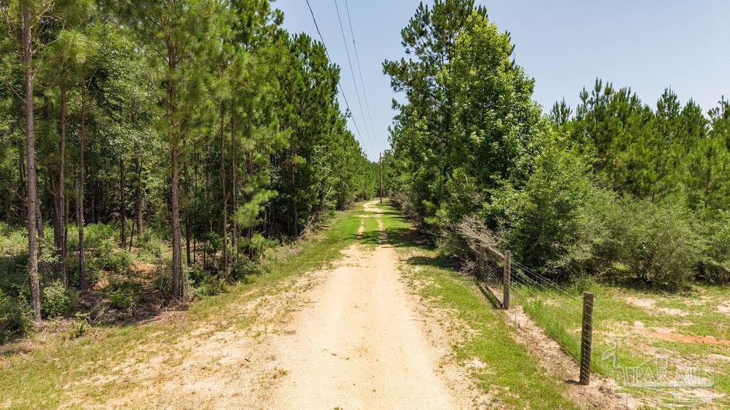 6382 Daniel Griffis Road Jay, FL 32565 - Photo 38 of 59