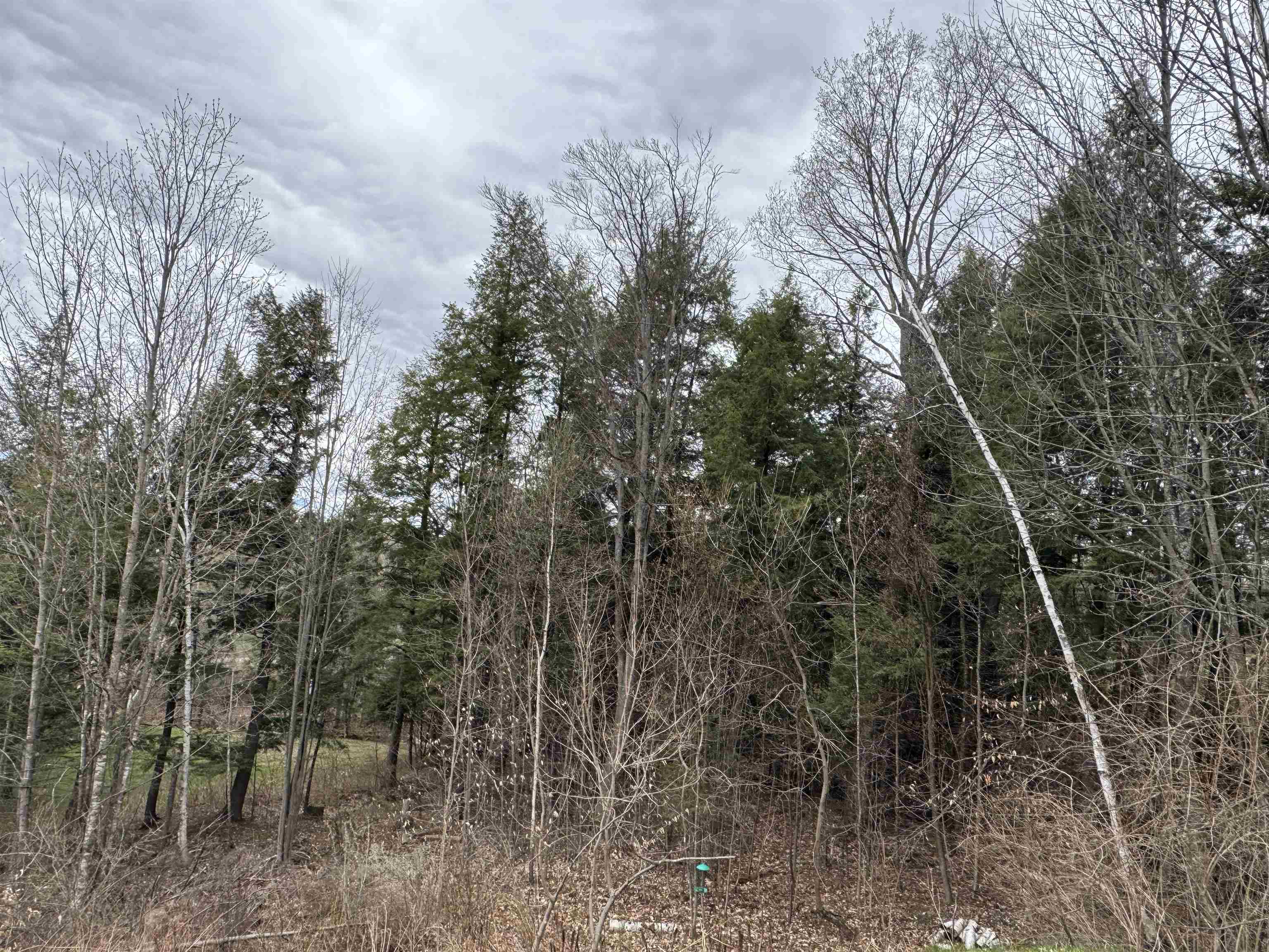 69 Missionary Acres Road Derby, VT 05855 - Photo 27 of 29