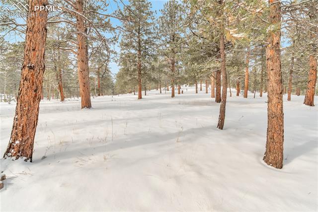 1167 Clark Road Bailey, CO 80421 - Photo 24 of 25