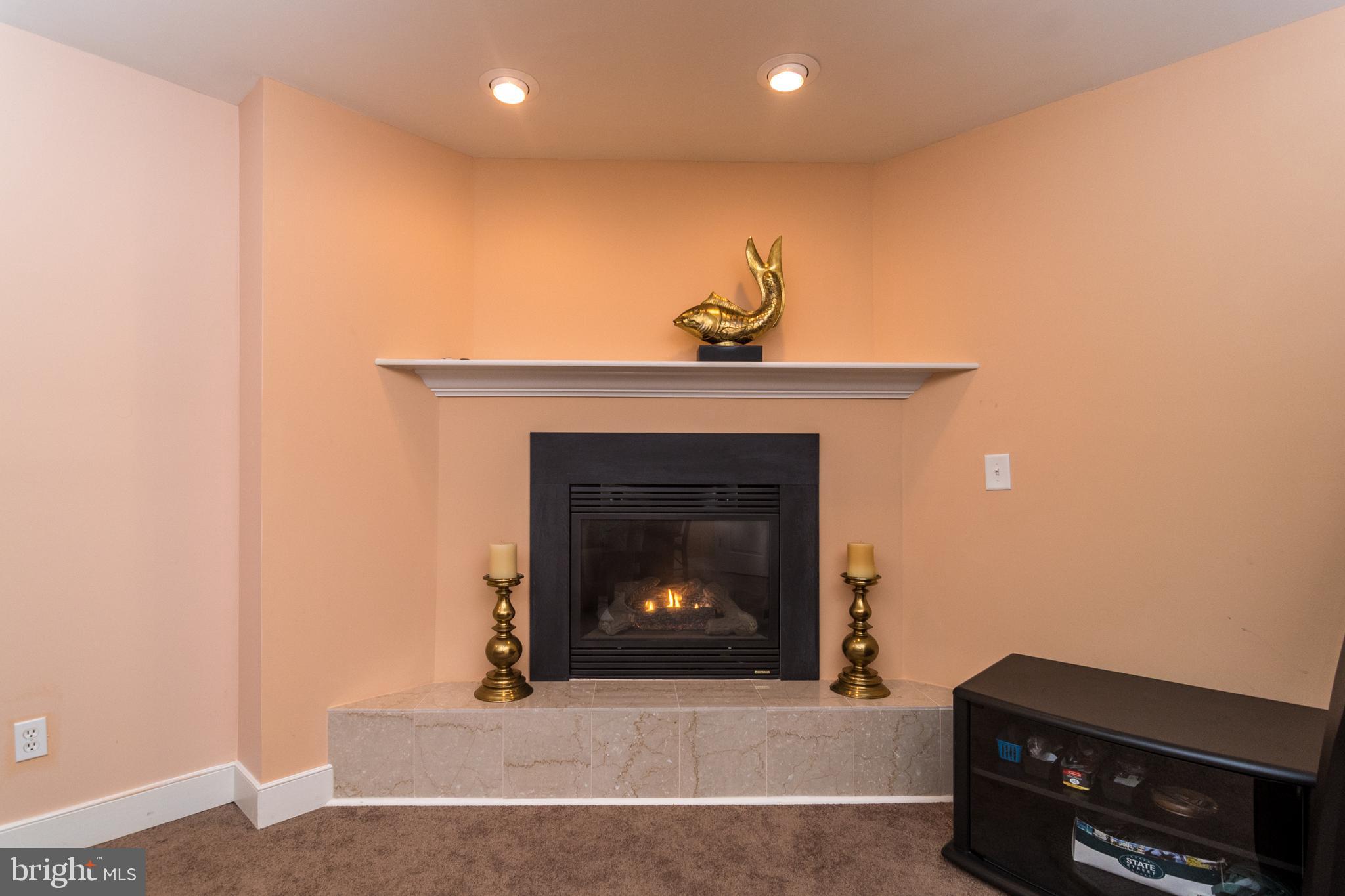 1630 Welsh Road, Unit 4A Philadelphia, PA 19115 - Photo 14 of 35 Loft Gas Fireplace!