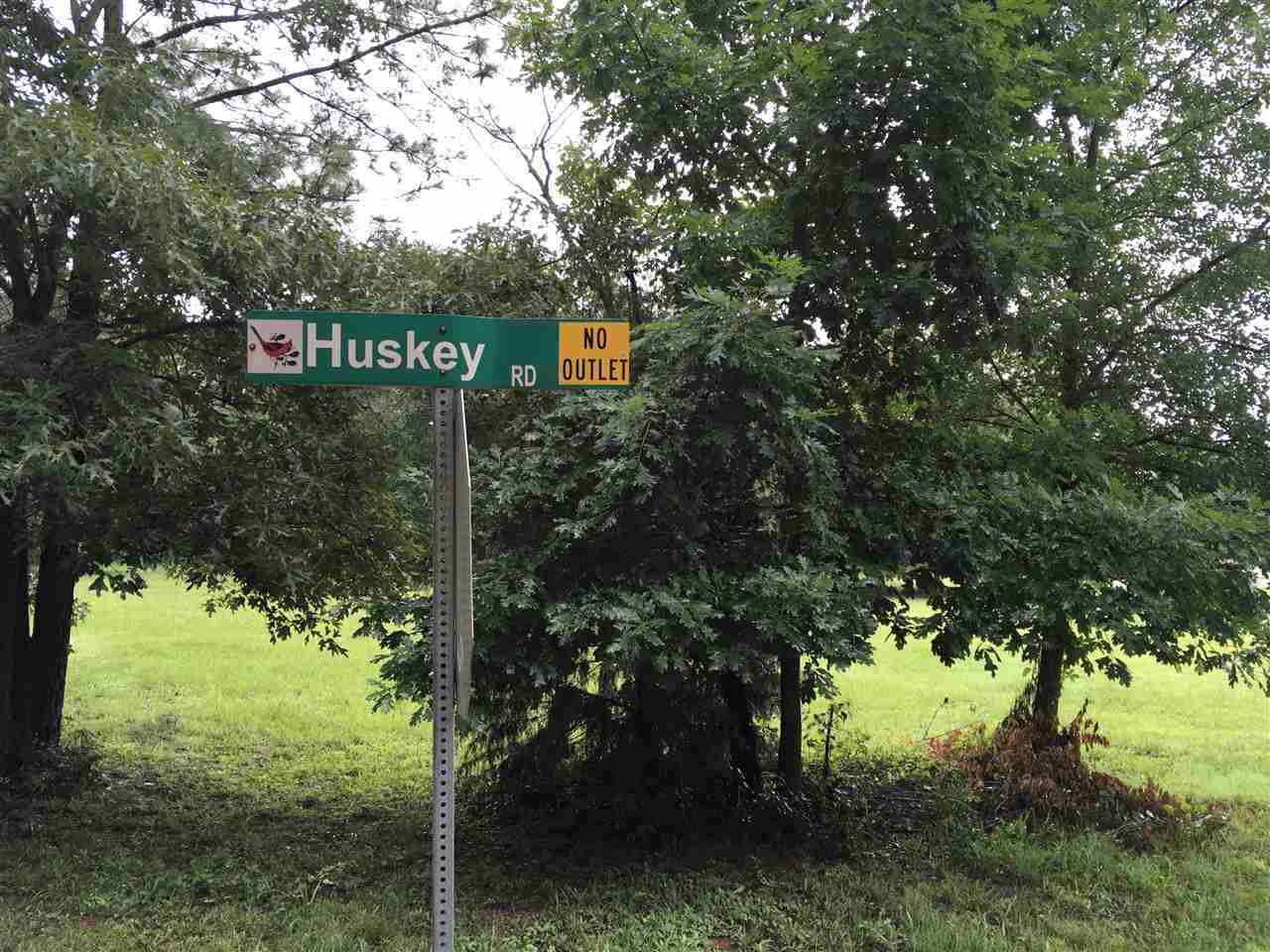 119 State Rd S-42-1902 Chesnee, SC 29323 - Photo 1 of 5