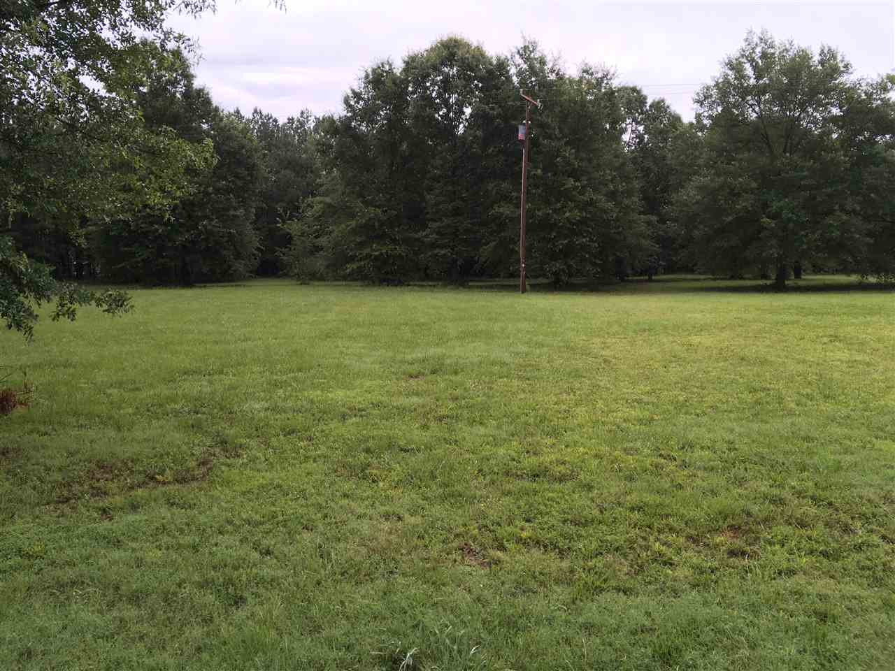 119 State Rd S-42-1902 Chesnee, SC 29323 - Photo 2 of 5
